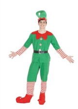 Costume da Elfo Natalizio