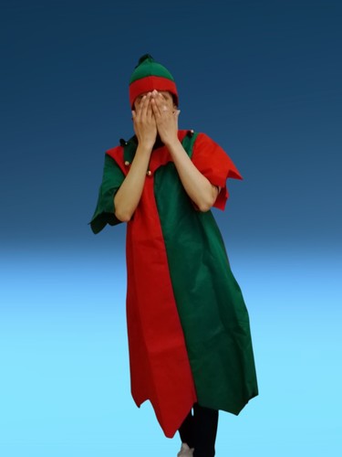 Set costume elfo adulto deluxe