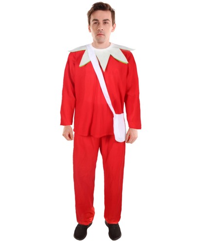 Costume elfo natale - costume,