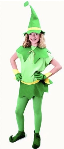 Costume elfo aiutante di - costume,